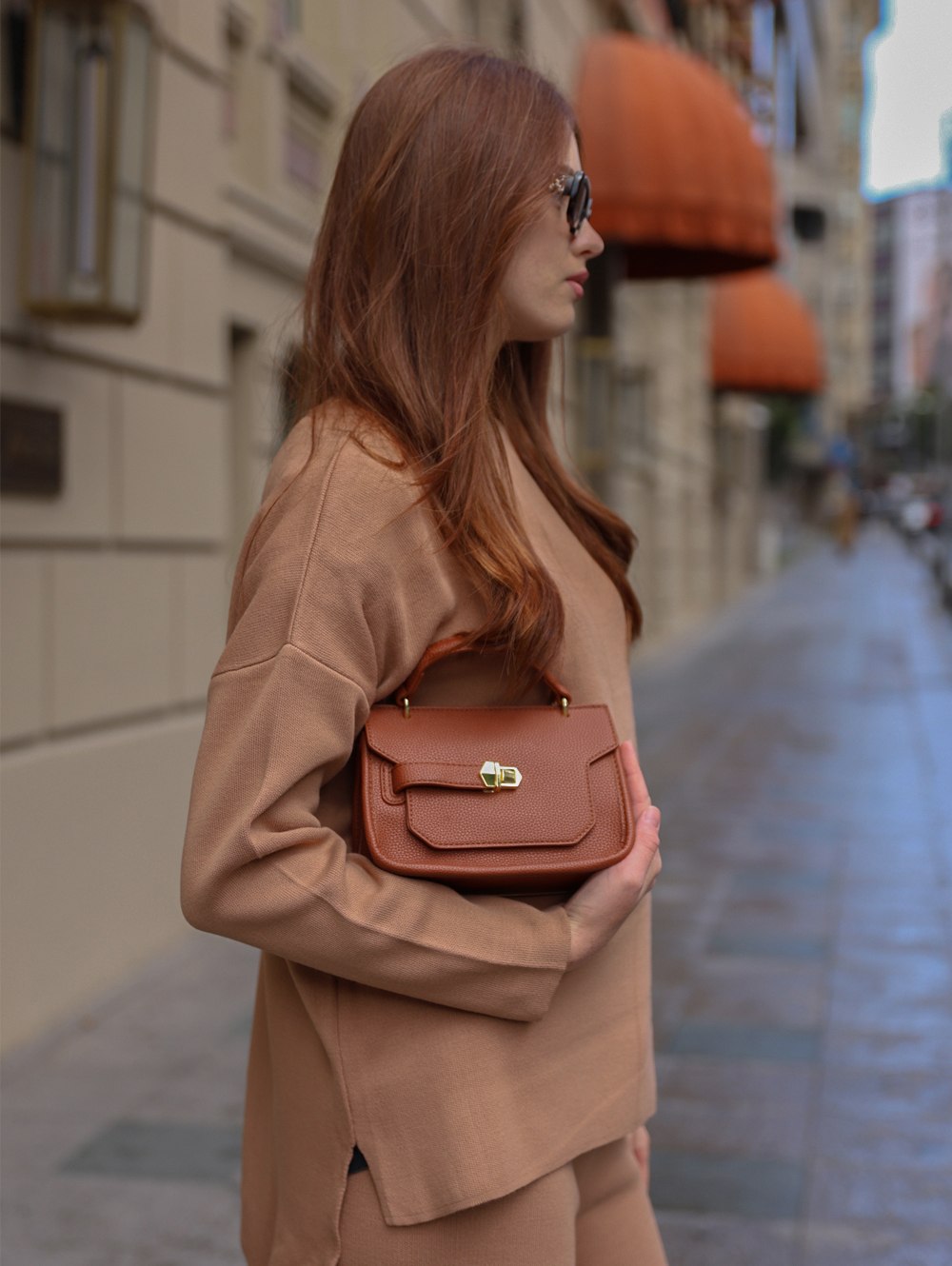 sc-204 Brown (3)