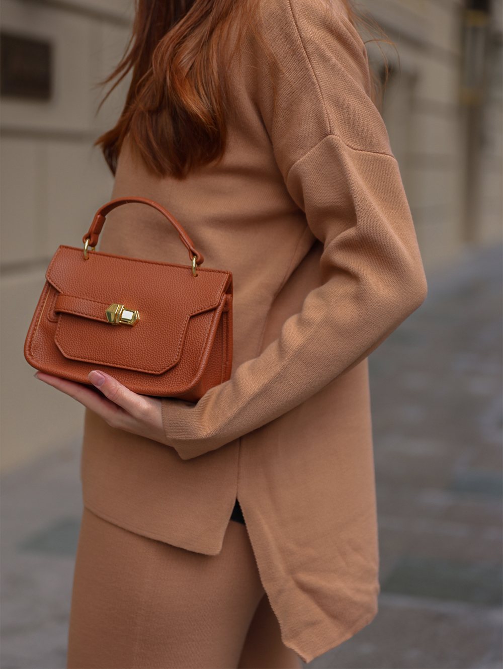 sc-204 Brown (6)